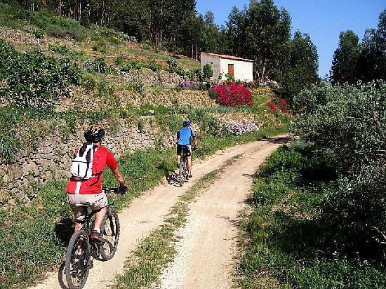 Casa Pescador Daire Carvoeiro  Dış mekan fotoğraf
